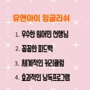유앤아이잉글리시1대1원어민영어회화 이미지