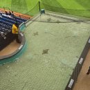 Tampa Bay Rays 메이저리그 베이스볼 직관후기