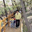 송현 - 울주군 수남벚꽃길 11-31 | 송현