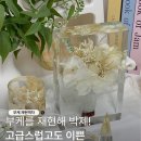 티라이트 | 서울 강서구 마곡 부케말리기 선물 부케재현액자 티라이트 홀더 후기