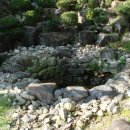 단종 어수정 이미지