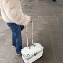 상부2 | 상부 개폐형 기내용 트레모 캐리어 내돈내산 솔직후기