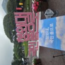 [서울 나들이 추천] 청와대 관람 후기 – 대통령의 집무실을 직접 걷다