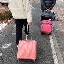 [제주] 2023.01.06~08 백두산악회 in jeju (6th), 1월의 한라산 영실코스