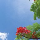 미꾸라지세상 이미지