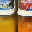 용인대 k-타이거즈 태권도장 이미지