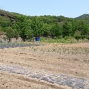 인천광역시 강화군 송해면사무소 이미지