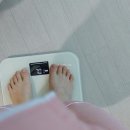 5월 31일 ~ 6월 12일까지 +999일 +87일 두마리 토끼같은 자식을 둔 출산휴가중인 워킹맘 밀린 일기♡