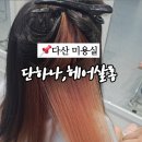 단헤어살롱 이미지