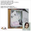 서현펫# 이미지