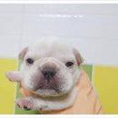 공감동물메디컬센터 이미지