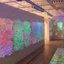 종로-현장-종로-세-297 이미지