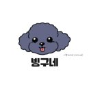 출장펫쌀롱 빙구네 이미지