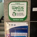 한국체대블랙벨트 이미지