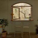 갈보리어린이집 | 다대포 카페 / 페를리 / 통창 벚꽃뷰 / 개화~만개 시기(3월 29일)