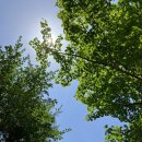 귀빈헬스 이미지