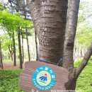 방화근린공원 천문우주과학관 이미지