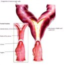 사직동물의료센터 이미지