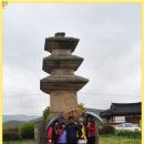 창신대학 이미지