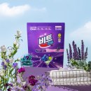 비트클린