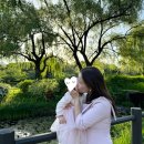 (주)무한 | 찐! 팔뚝 무한람스 당일후기 결정한 이유와 멍, 통증, 붓기는?