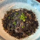 더피움am1045 | 전포 안주맛집,술집 불피움 내돈내산 후기