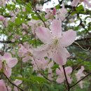 서종황토방 이미지