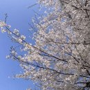 미사누리2호공원 이미지