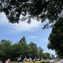 WOW 팡팡 | 코타키나발루 3박 5일 여행 마지막 날 시티, 맹그로브 숲, 반딧불이, 마사지 단독투어 후기