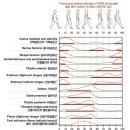 울산헬스기구 이미지
