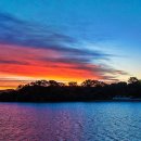 바람꽃건강 이미지