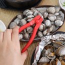 원조꼬막식당 이미지