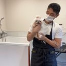 혜원켄넬 네이버블로그