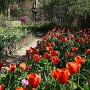 한택식물원주차장 이미지