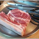 곽지 1645 이미지