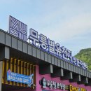 삼화쉼터식당 | 강원도 동해 무릉별유천지 라벤더 축제 지금 당장 가야 하는 이유