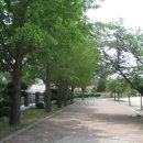 송라초등학교 이미지
