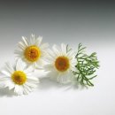 대학로R 이미지