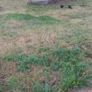 마송농장 이미지