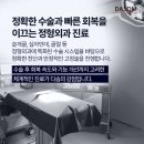 갑을동물병원 | 재송동 동물병원, 4개월령 아기 고양이의 대퇴골 골절 고정 수술 사례