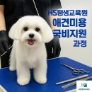에이치에스빌딩 | 인천직업학교 HS평생교육원(에이치에스평생교육원) 교육후기, 애견미용사로 성장한 과정