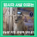 고령목장 이미지