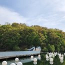 신대호수 이미지