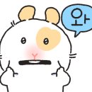 카페 오르트 이미지