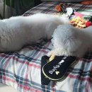 온리동물병원 이미지