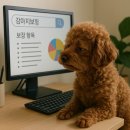 강아지 보험 가입 전 필수 체크｜보장 항목·비용·후기 비교