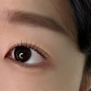 지.행.시 | 송파 인형 속눈썹 맛집 :: 문정동 행브로우 👁️