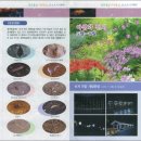 용연동굴 이미지