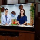 청아수석곤충나라