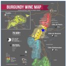 레그노일 | [프랑스 와인 추천] DOMAIN J.C. REGNAUDOT &amp; FILS BOURGOGNE 2020; 도멘 장끌로드 레도뇨 에 피스...